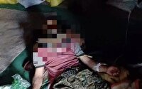 حمله خرس به یک چوپان در کجور