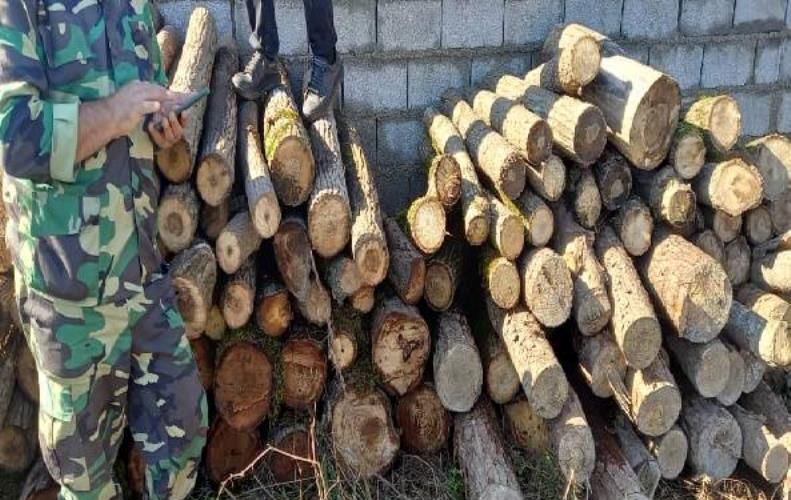 دستگیری ۲۱۹ متخلف حوزه منابع طبیعی و آبخیزداری گیلان