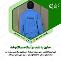 سارق به عنف در آبيک دستگير شد