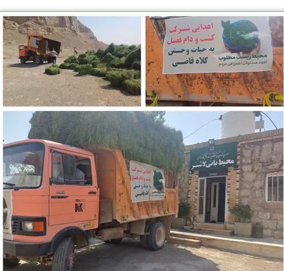 نذر علوفه برای حیات وحش پارک ملی کلاه قاضی