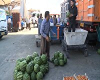 آرامش و ثبات در بازار با توزیع گسترده کالاها در میادین میوه و تره بار