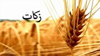 جذب 192 میلیارد تومان زکات در آذربایجان‌شرقی