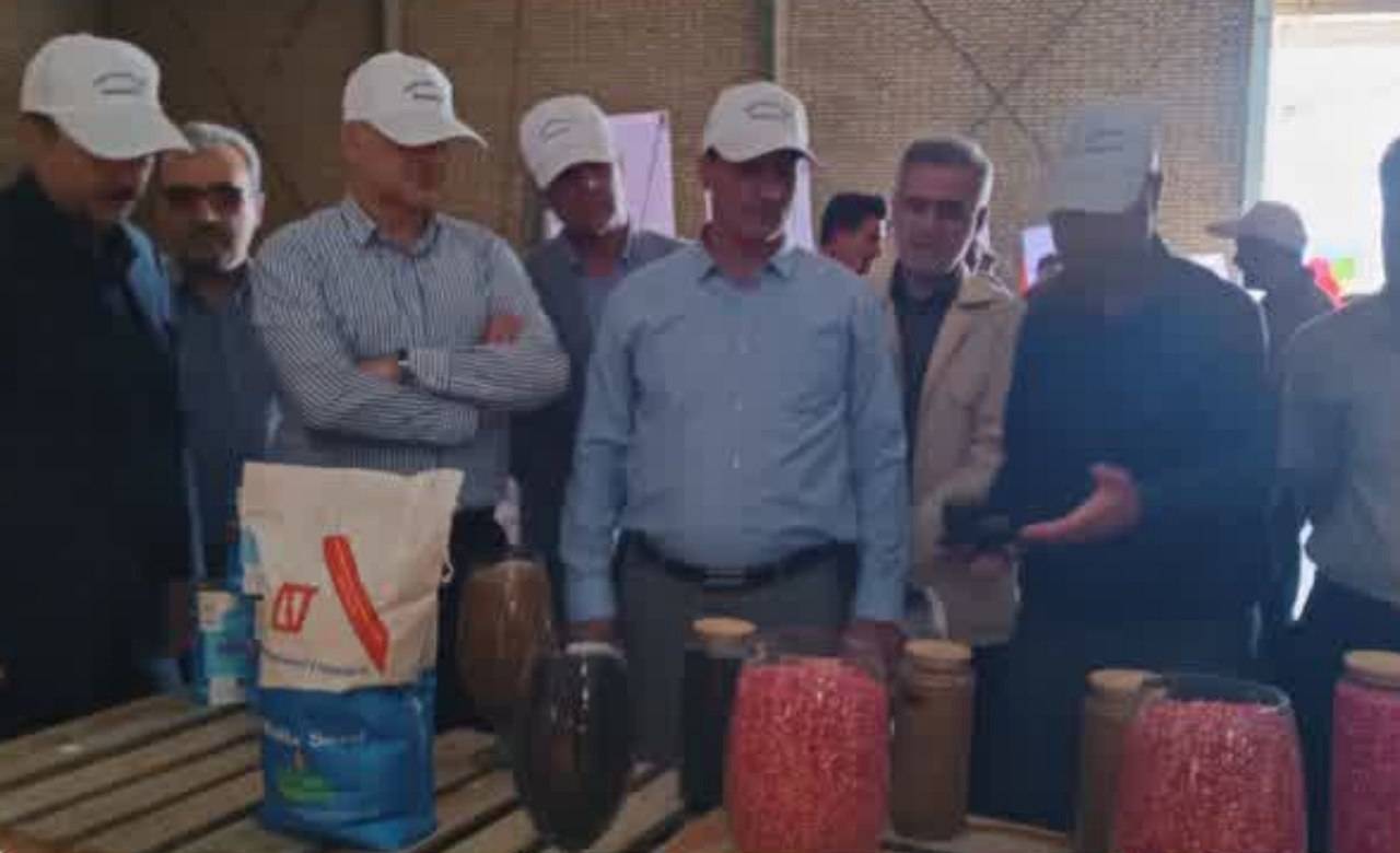 رونمایی از چهار رقم جدید بذر هیبریدی در کشت و صنعت جوین