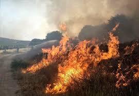 مهار آتش در مراتع دالان کوه ونک سمیرم