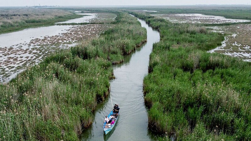 کمک ژاپن برای حفاظت از تالاب بین‌المللی شادگان