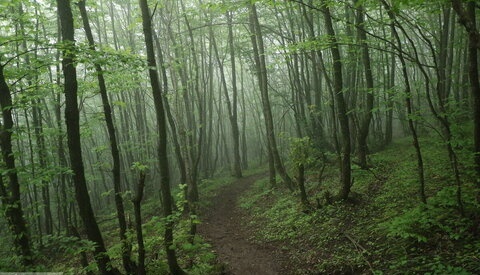 صدور موافقت اصولی برای احداث هتل ۵ ‌ستاره در کلیبر