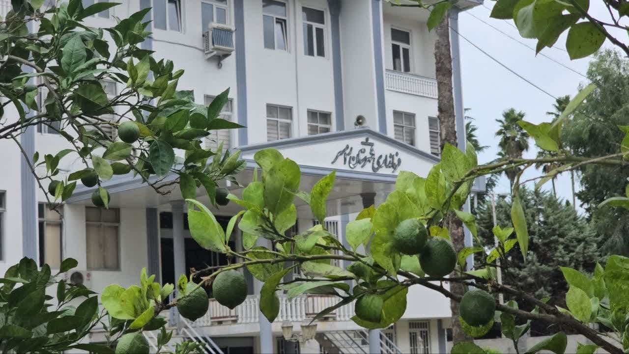 باغ مرکبات در دل فرمانداری رامسر رویید