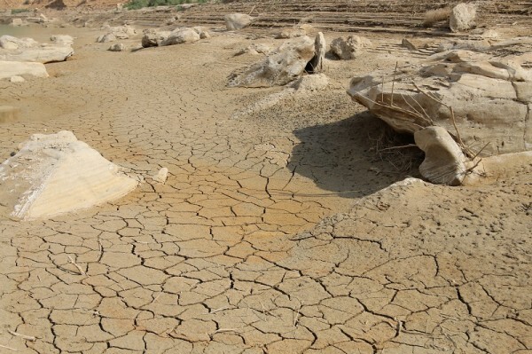 بوشهر در خط مقدم نبرد با خشکسالی بوشهر در خط مقدم نبرد با خشکسالی