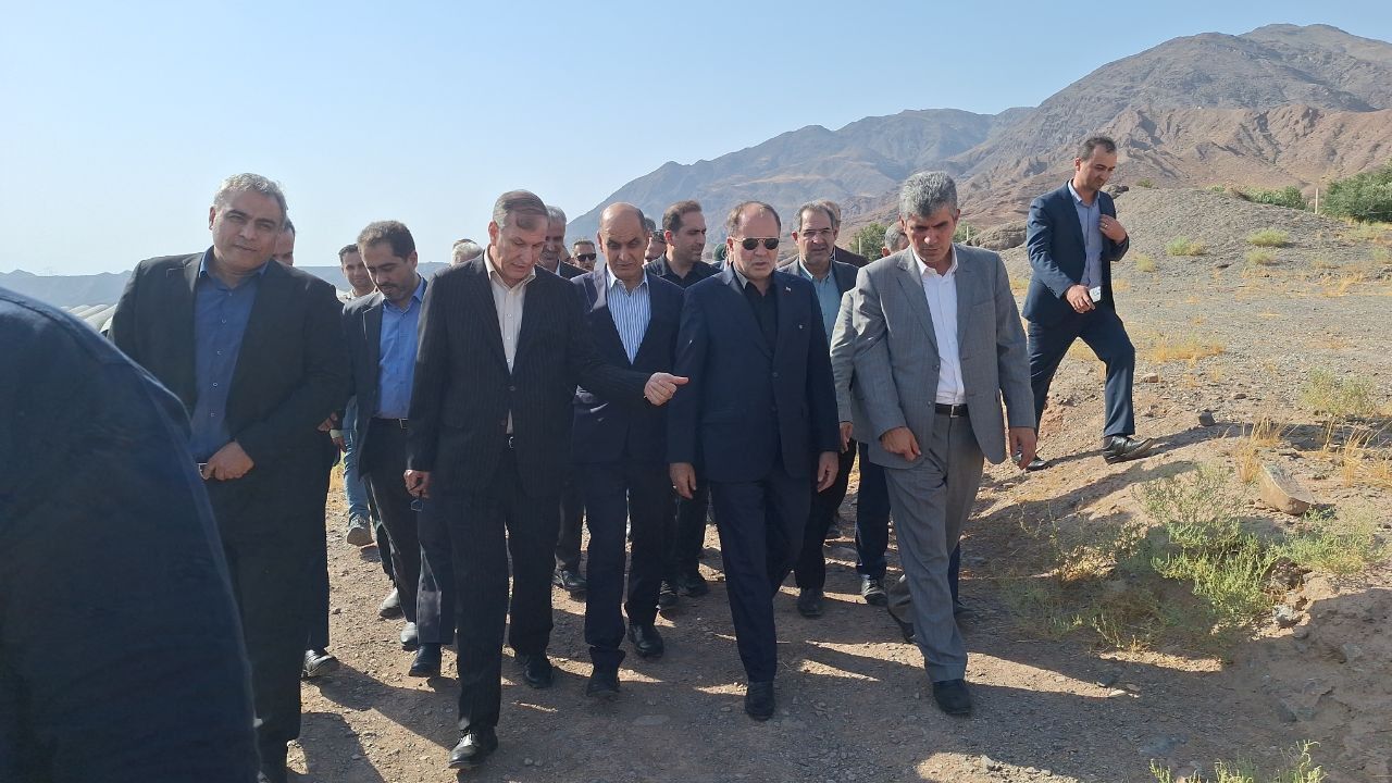 ثبت باغ مادری زیتون علی آباد رودبار، چهارمین کلکسیون بین المللی دنیا