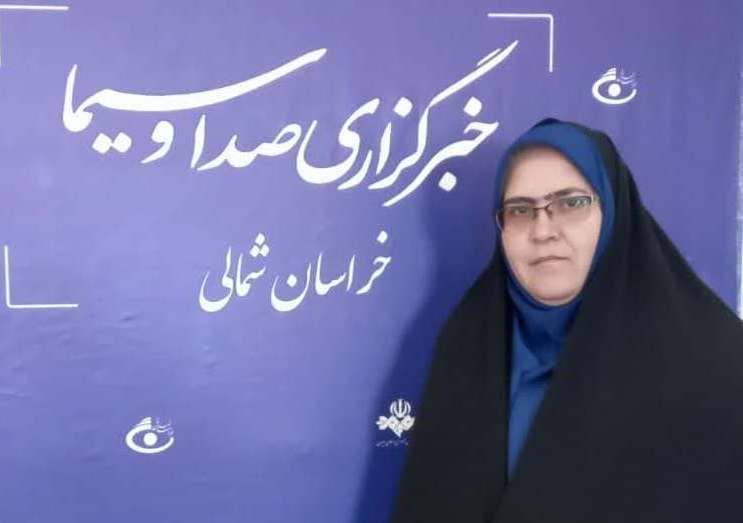 سرمایه گذار حلقه مفقوده در خراسان شمالی