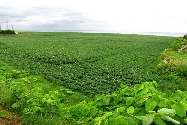 سرمایه گذار حلقه مفقوده در خراسان شمالی