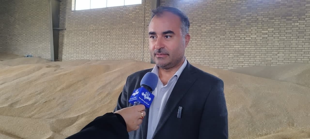 خرید حدود 500 هزار تن گندم از کشاورزان آذربایجانغربی خرید حدود 500 هزار تن گندم از کشاورزان آذربایجانغربی