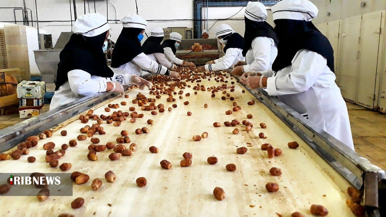 فعالیت بیش از ۱۱۴ واحد تولیدی و تبدیلی خرما در استان بوشهر فعالیت بیش از ۱۱۴ واحد تولیدی و تبدیلی خرما در استان بوشهر