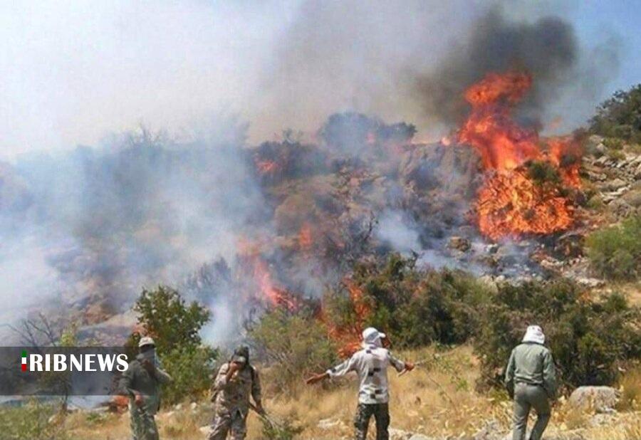 وقوع ۶۵ فقره حریق در مراتع و جنگل‌های لرستان