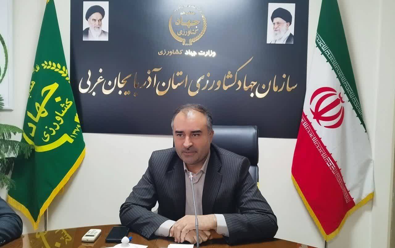 افزایش ۵۱ درصدی جوجهریزی واحدهای مرغداری در آذربایجانغربی افزایش ۵۱ درصدی جوجهریزی واحدهای مرغداری در آذربایجانغربی