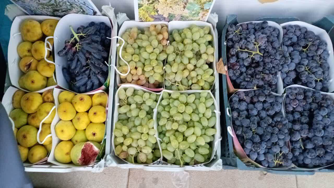 چهارمین جشنواره انگور سیاه سردشت آغاز به کار کرد
