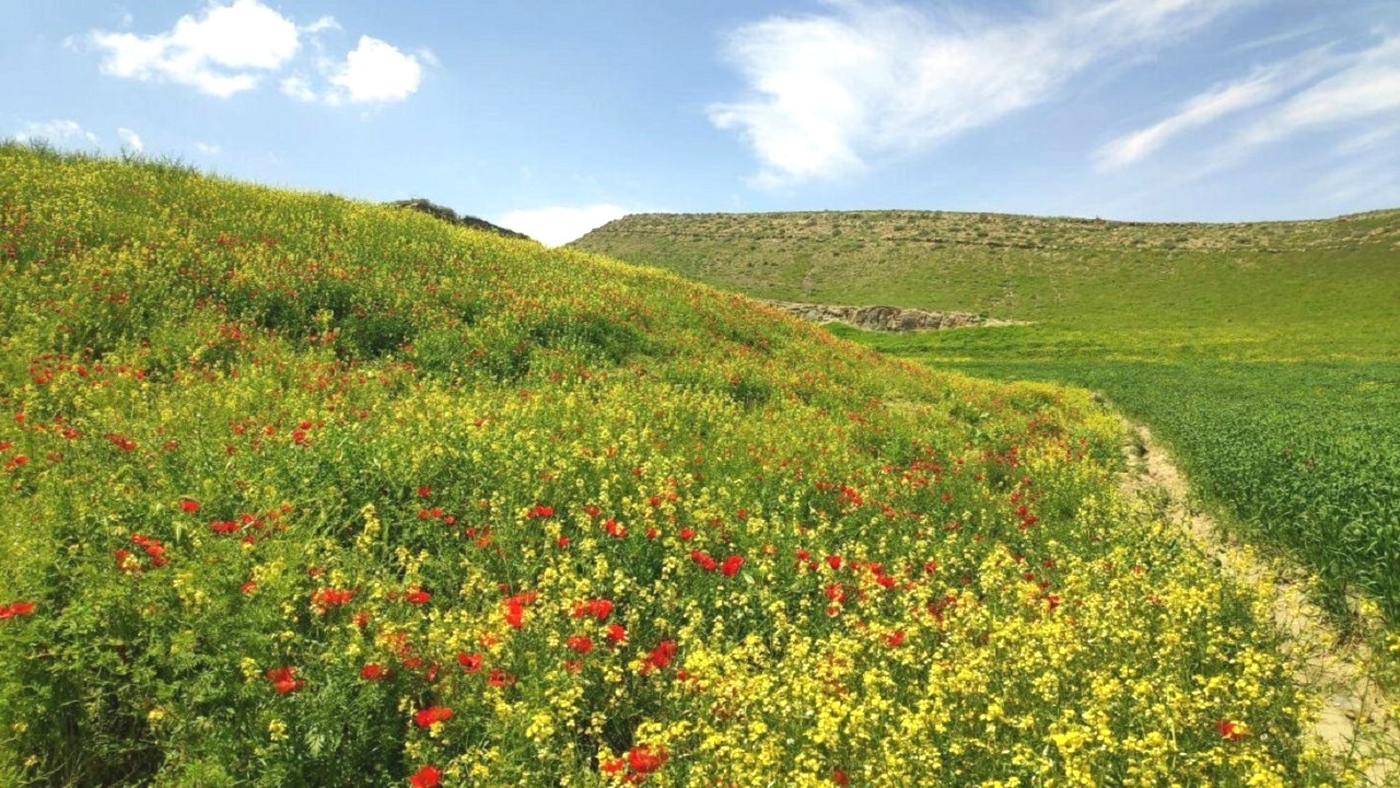 درخشش آفتاب شهریور ماه در آسمان گیلان درخشش آفتاب شهریور ماه در آسمان گیلان