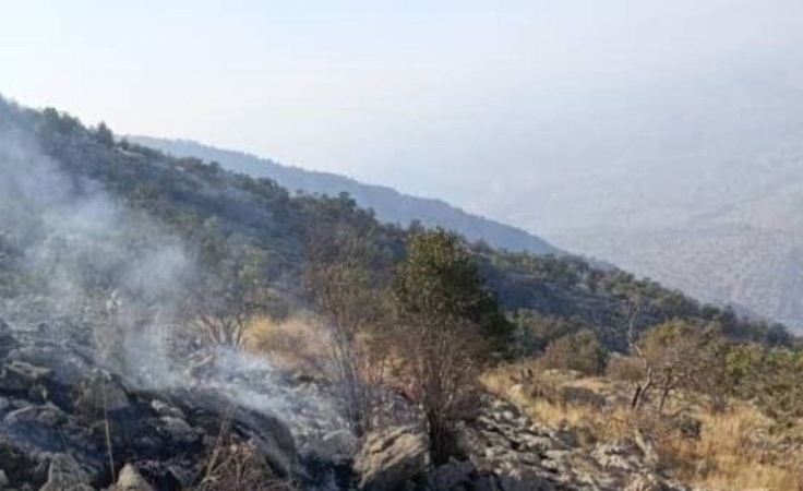 وقوع آتش سوزی در مراتع و جنگل های لنده