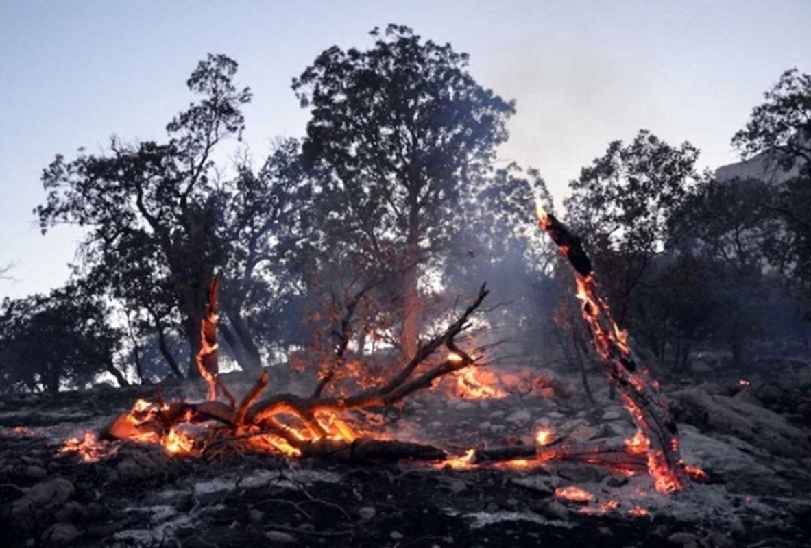 آتش دوباره دامن «گاچال» ایوان را گرفت آتش دوباره دامن «گاچال» ایوان را گرفت