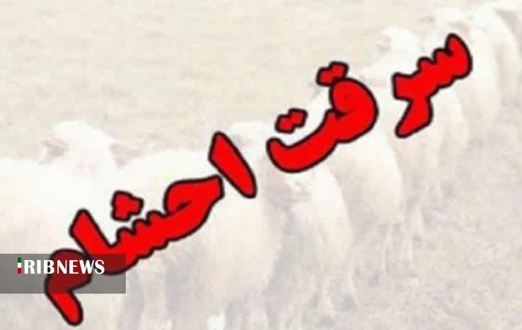 انهدام باند سارقان احشام در الیگودرز انهدام باند سارقان احشام در الیگودرز