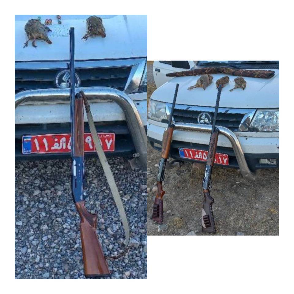 دستگیری شکارچی متخلف در شهرستان ماکو