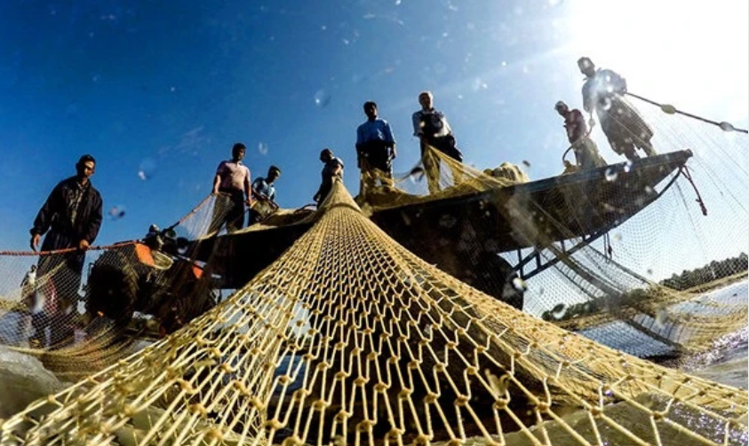 دستگیری متهمان مرتبط با تخلفات صید و حمل غیرمجاز آبزیان در خوزستان دستگیری متهمان مرتبط با تخلفات صید و حمل غیرمجاز آبزیان در خوزستان