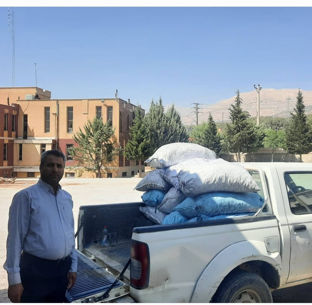 جریمه ۶۴۵ میلیون تومانی برای متخلف قاچاق چوب