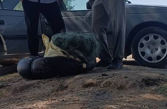 دستگیری صیاد متخلف در شهرستان شاهین‌دژ