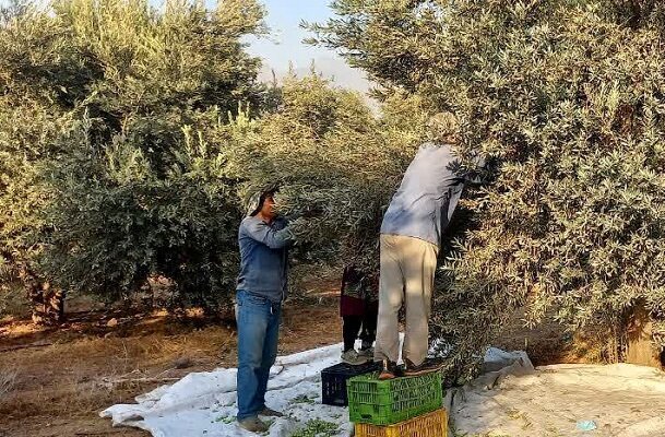 ممنوعیت به کارگیری اتباع بیگانه در گیلان