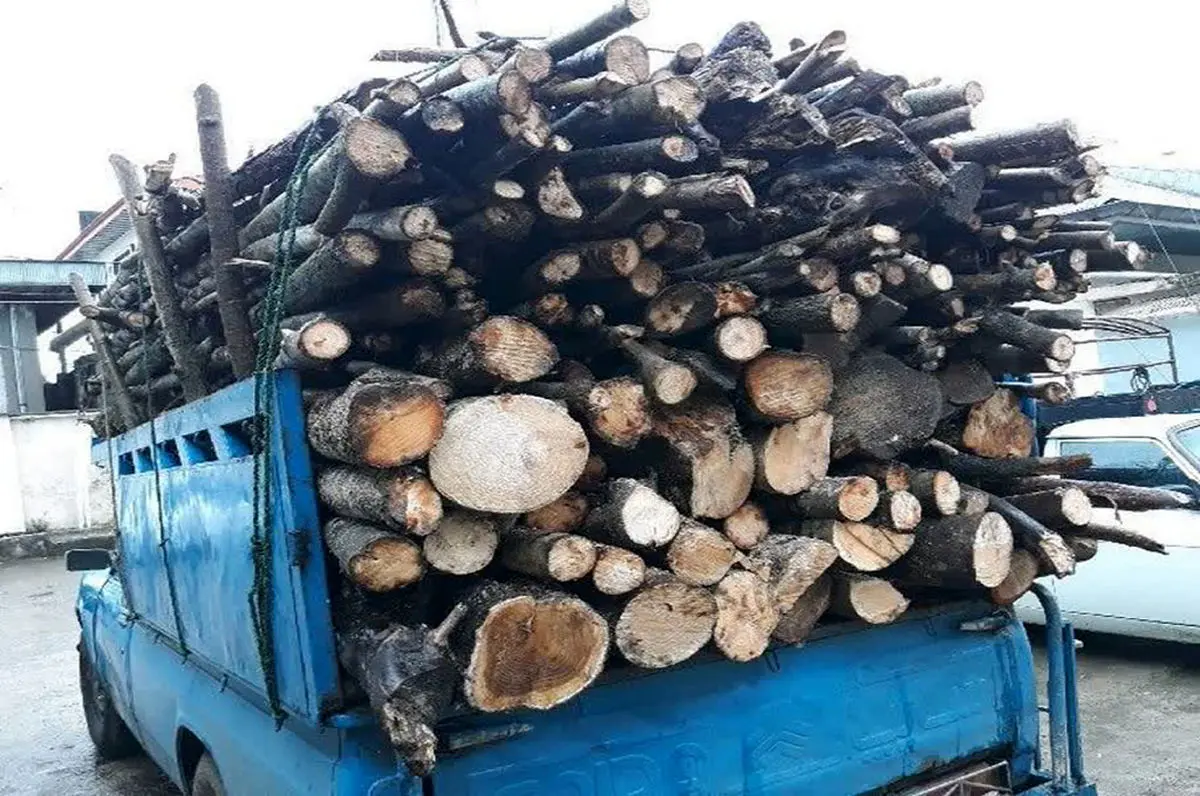 توقیف نیسان حامل چوب فاقد مجوز در سپیدان