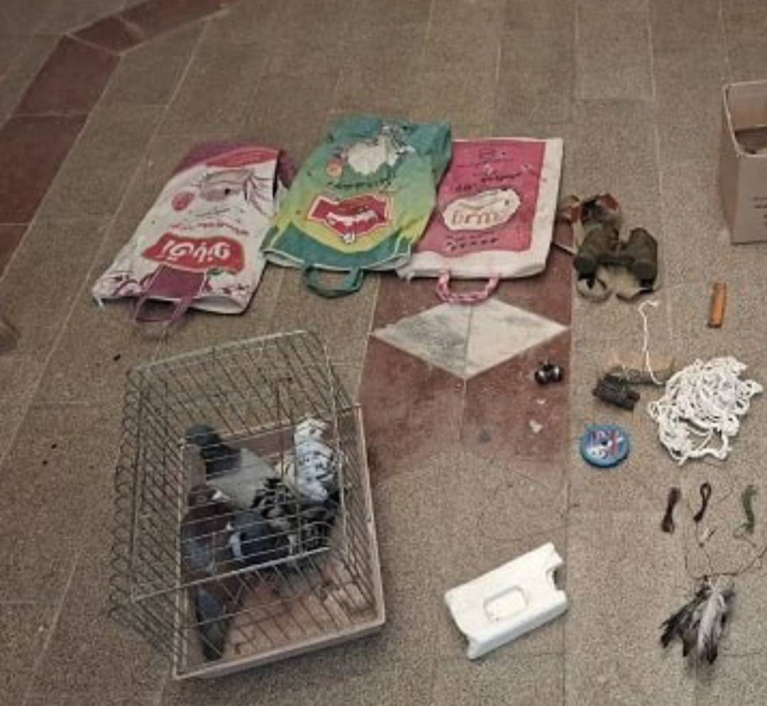 دستگیری شکارچیان غیر مجاز پرنده گان شکاری در سرخس