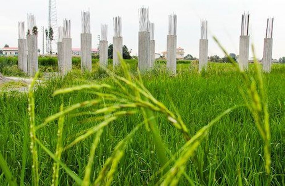 از تغییر کاربری باغهای با مساحت بیش از ۵۰۰ مترمربع جلوگیری میکنیم از تغییر کاربری باغهای با مساحت بیش از ۵۰۰ مترمربع جلوگیری میکنیم