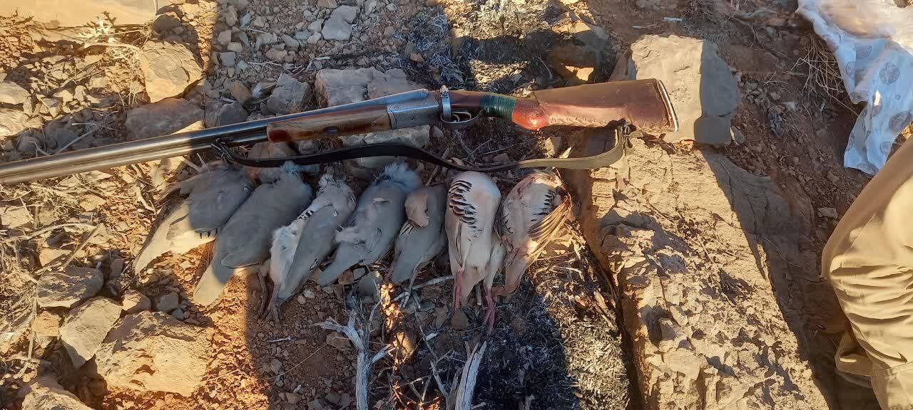 شکارچی حرفهای راهی زندان شد شکارچی حرفهای راهی زندان شد