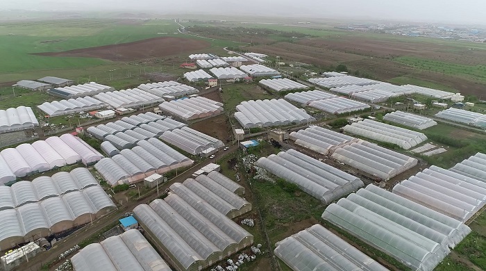 تولید ۱۳ هزارو ۵۰۰ تن محصول از دل گلخانه‌های زنجان