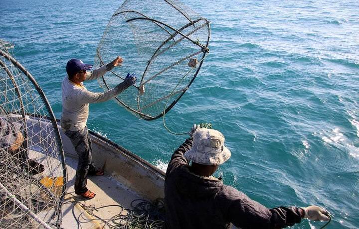 صید پاک در مناطق ساحلی خوزستان آغاز شد