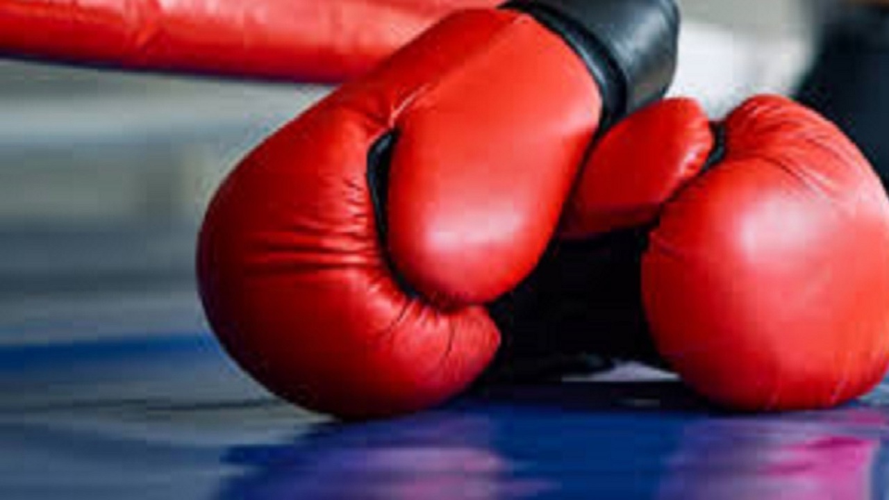 کیک بوکسور تبریزی قهرمان مسابقات بین المللی ارمنستان