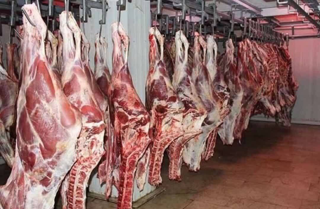 تولید ۲۳۰۰ تن گوشت قرمز شهرستان نور تولید ۲۳۰۰ تن گوشت قرمز شهرستان نور