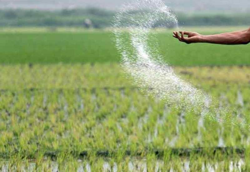 مراجعه کشاورزان خوزستانی به ادارات جهاد کشاورزی برای دریافت کود کشت پاییزه