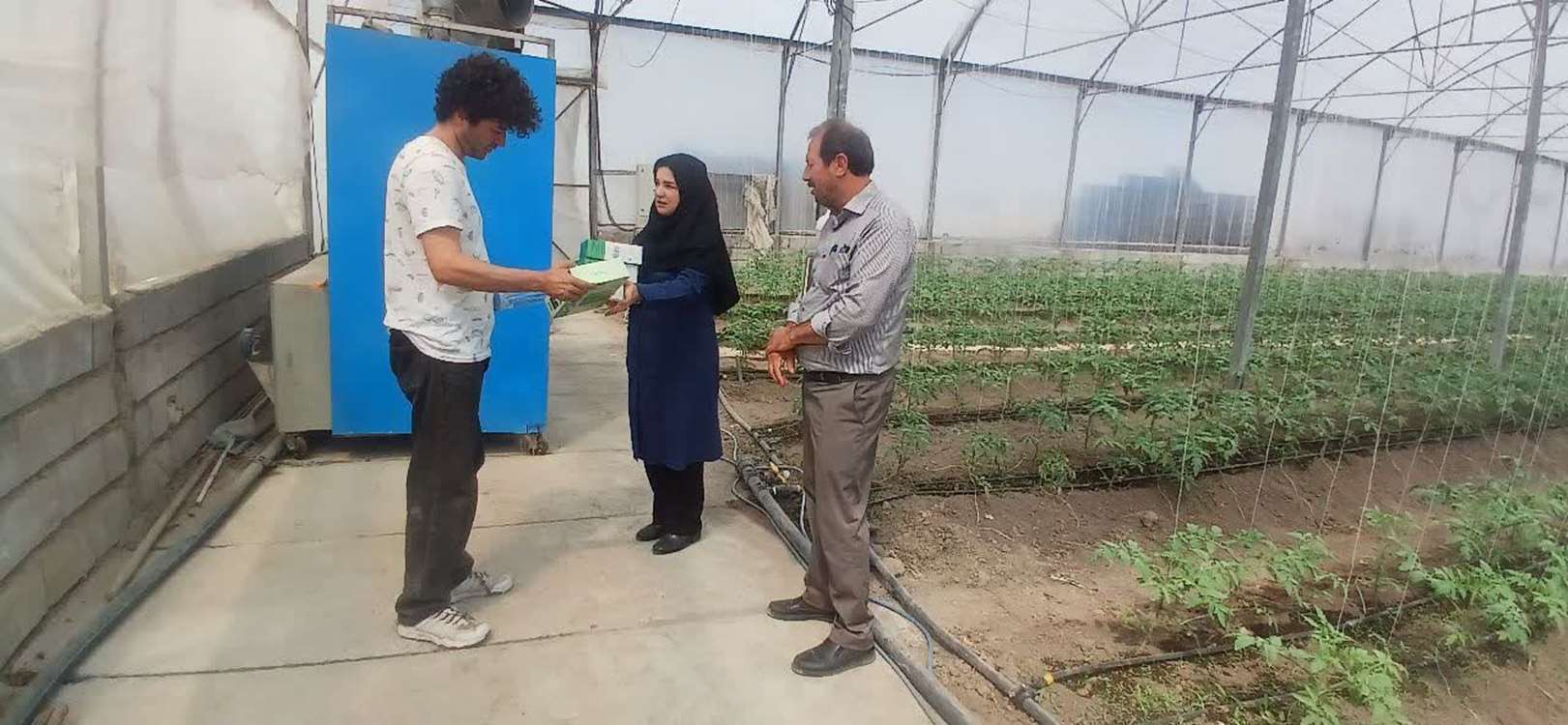 استفاده از عوامل بیولوژیک در بیش از ۶۵ هزار هکتار از اراضی کشاورزی آذربایجانغربی استفاده از عوامل بیولوژیک در بیش از ۶۵ هزار هکتار از اراضی کشاورزی آذربایجانغربی