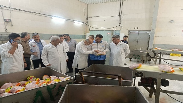 بازدید شبانه معاون اقتصادی استاندار گلستان از کشتارگاه‌های طیور گلستان