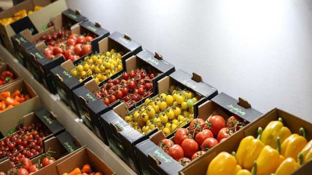 مبادله بیش از ۴۴۵ هزار تن محصولات کشاورزی از مراکز قرنطینه نباتی آذربایجانغربی مبادله بیش از ۴۴۵ هزار تن محصولات کشاورزی از مراکز قرنطینه نباتی آذربایجانغربی