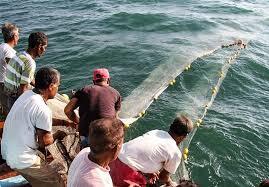 صدور مجوز صید میگوی سفید برای صیادان آبادانی و خرمشهری صدور مجوز صید میگوی سفید برای صیادان آبادانی و خرمشهری