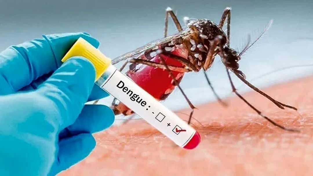 شمار مبتلایان به تب دنگی در هرمزگان به ۸۷ تَن رسید شمار مبتلایان به تب دنگی در هرمزگان به ۸۷ تَن رسید