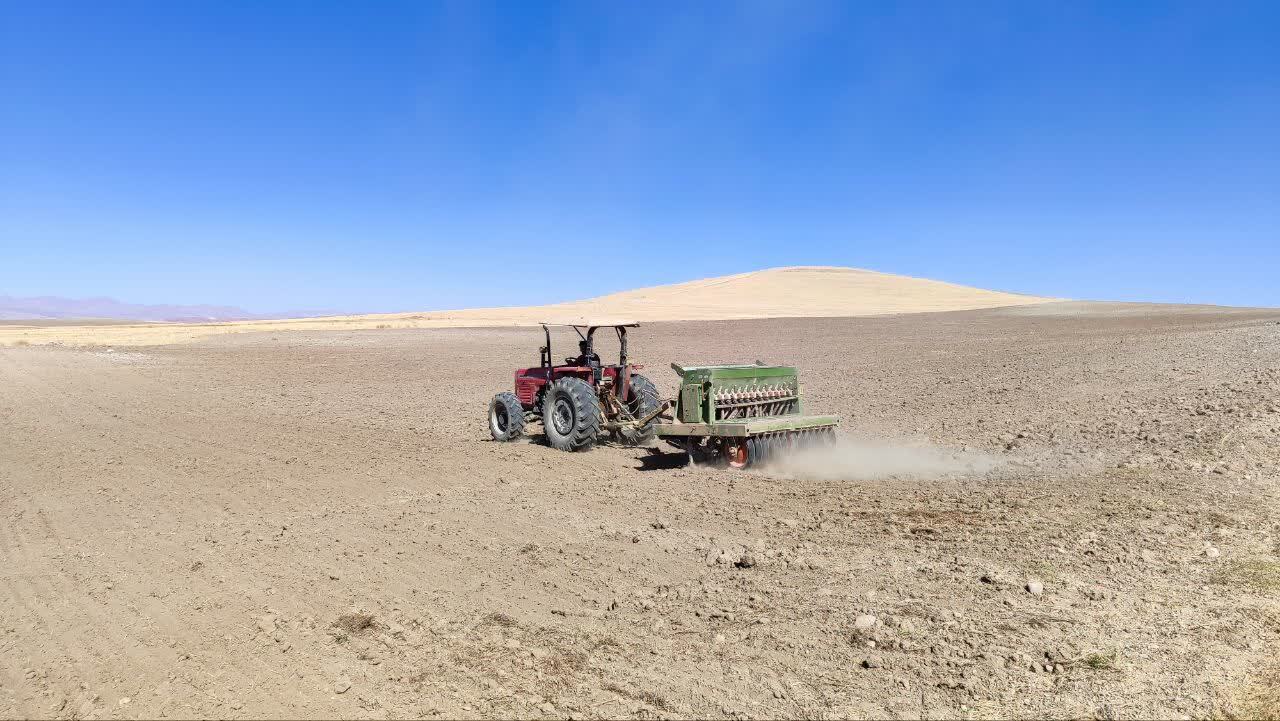 بیش از ۴۲ هزار هکتار از زمینهای کشاورزی تکاب زیر کشت دیم پاییزه قرار گرفت بیش از ۴۲ هزار هکتار از زمینهای کشاورزی تکاب زیر کشت دیم پاییزه قرار گرفت