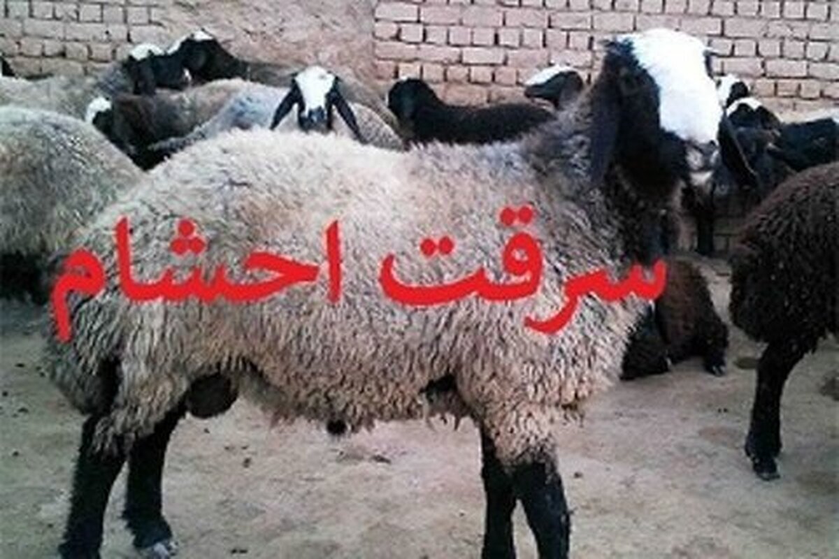 دستگیری سارق احشام در امیدیه دستگیری سارق احشام در امیدیه