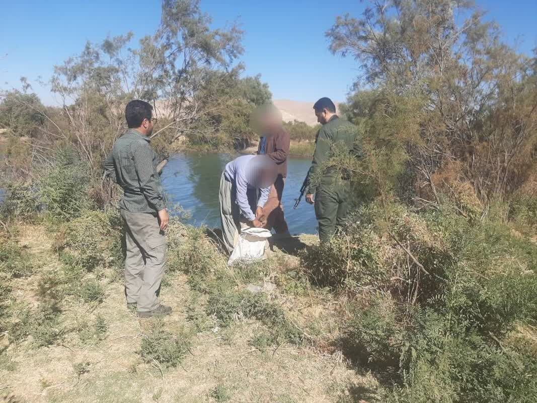 دستگیری شکارچیان غیرمجاز در میاندوآب دستگیری شکارچیان غیرمجاز در میاندوآب