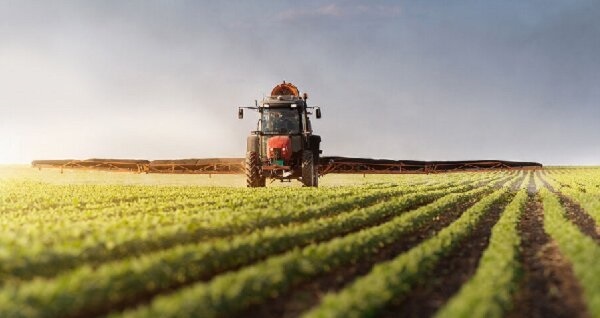 ضرورت اصلاح الگوی کشت و توسعه صنایع کوچک در آذربایجان غربی