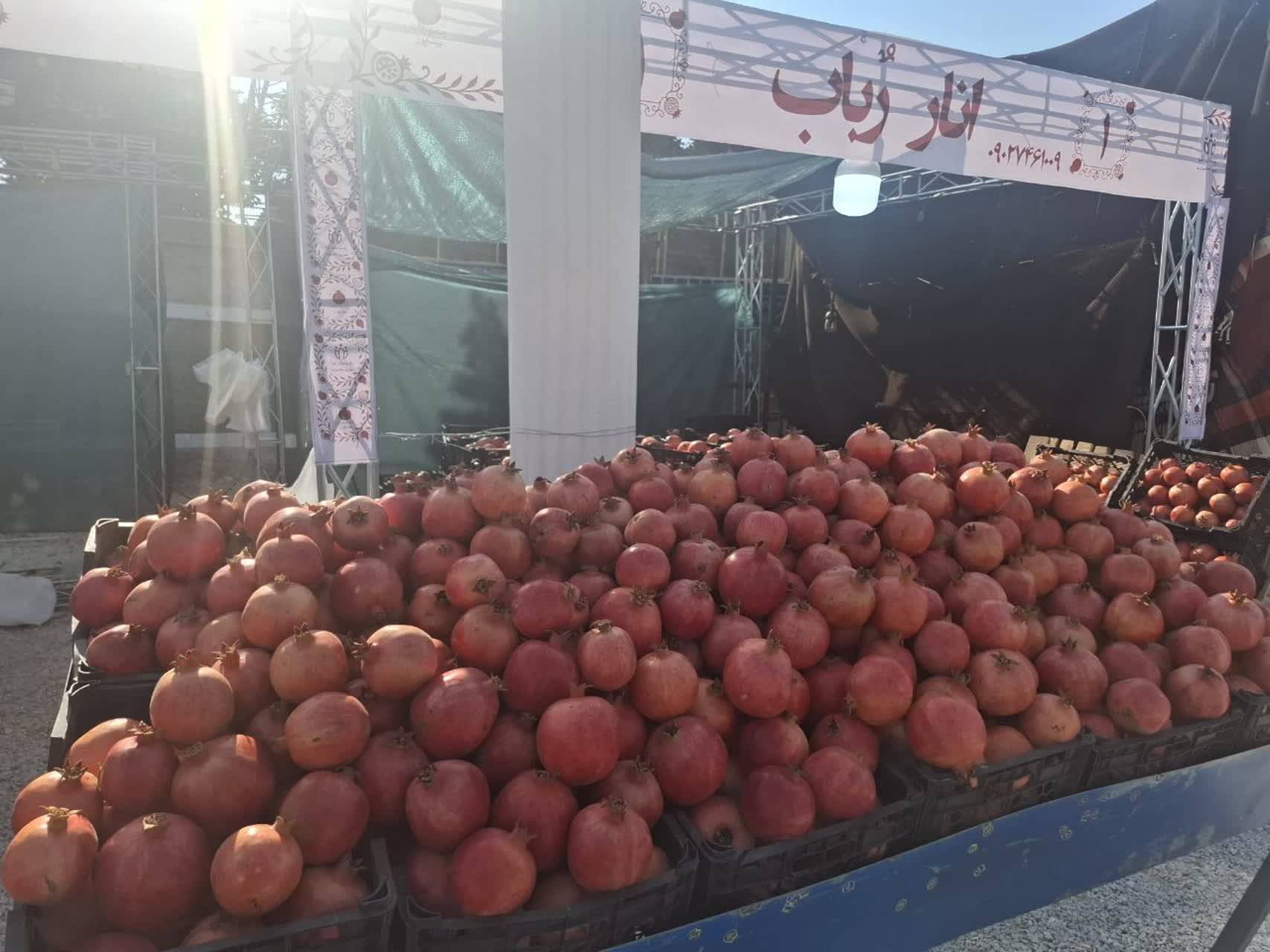 برگزاری جشنواره انار در شهرستان کازرون برگزاری جشنواره انار در شهرستان کازرون