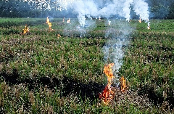 ممنوعیت سوزاندن بقایای مزارع و محصولات کشاورزی در خوزستان