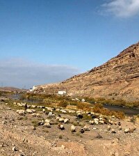 برخورد با تعلیف احشام غیرمجاز در منطقه حفاظت‌شده مراکان